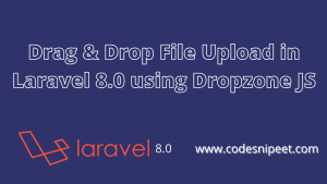 Read more about the article Drag & Drop File Upload in Laravel 8.0 using Dropzone JS