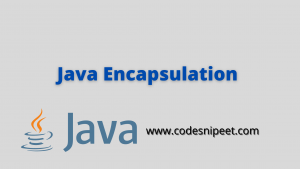 Read more about the article Java Encapsulation