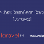 get random records in laravel example