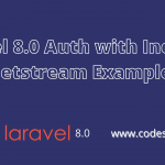 laravel auth with inertia js jetstream example