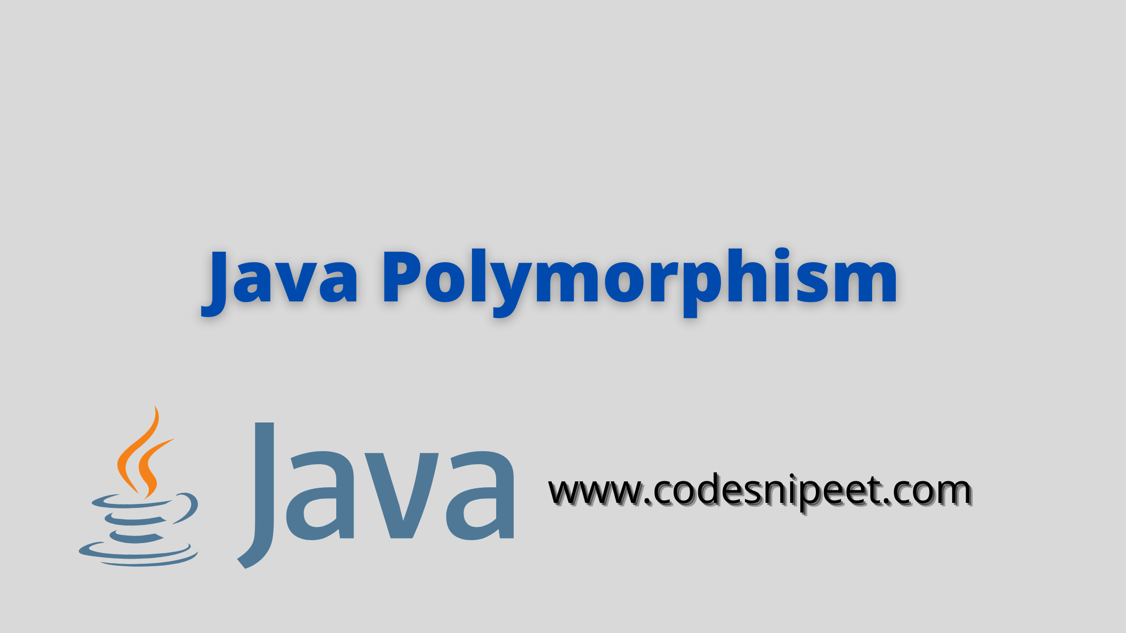 Java Polymorphism | Java